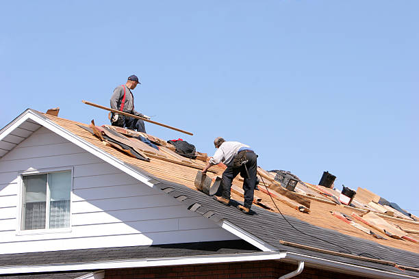 Best Gutter Installation and Repair  in The Hills, NJ